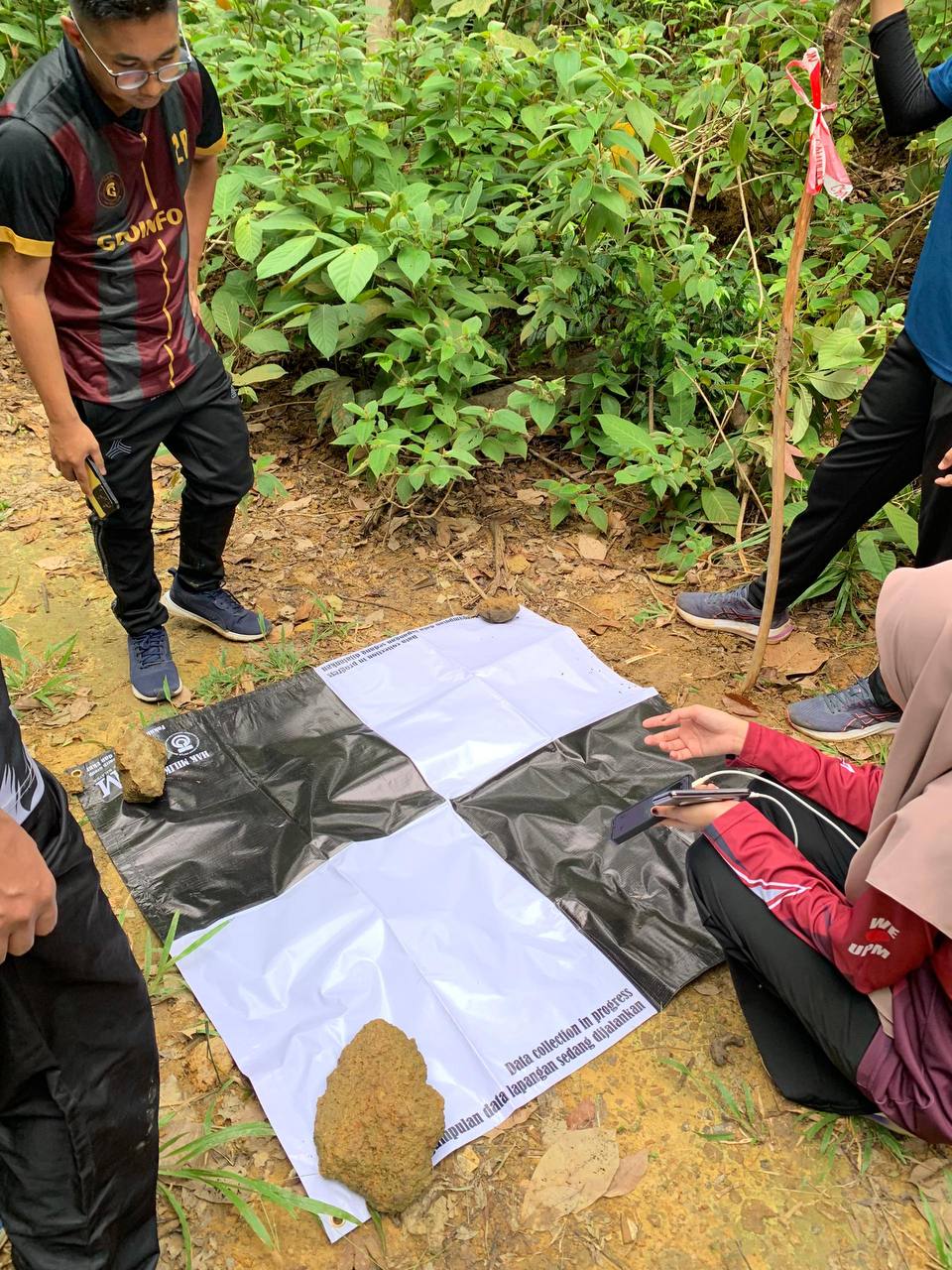 Data Collection Image 6