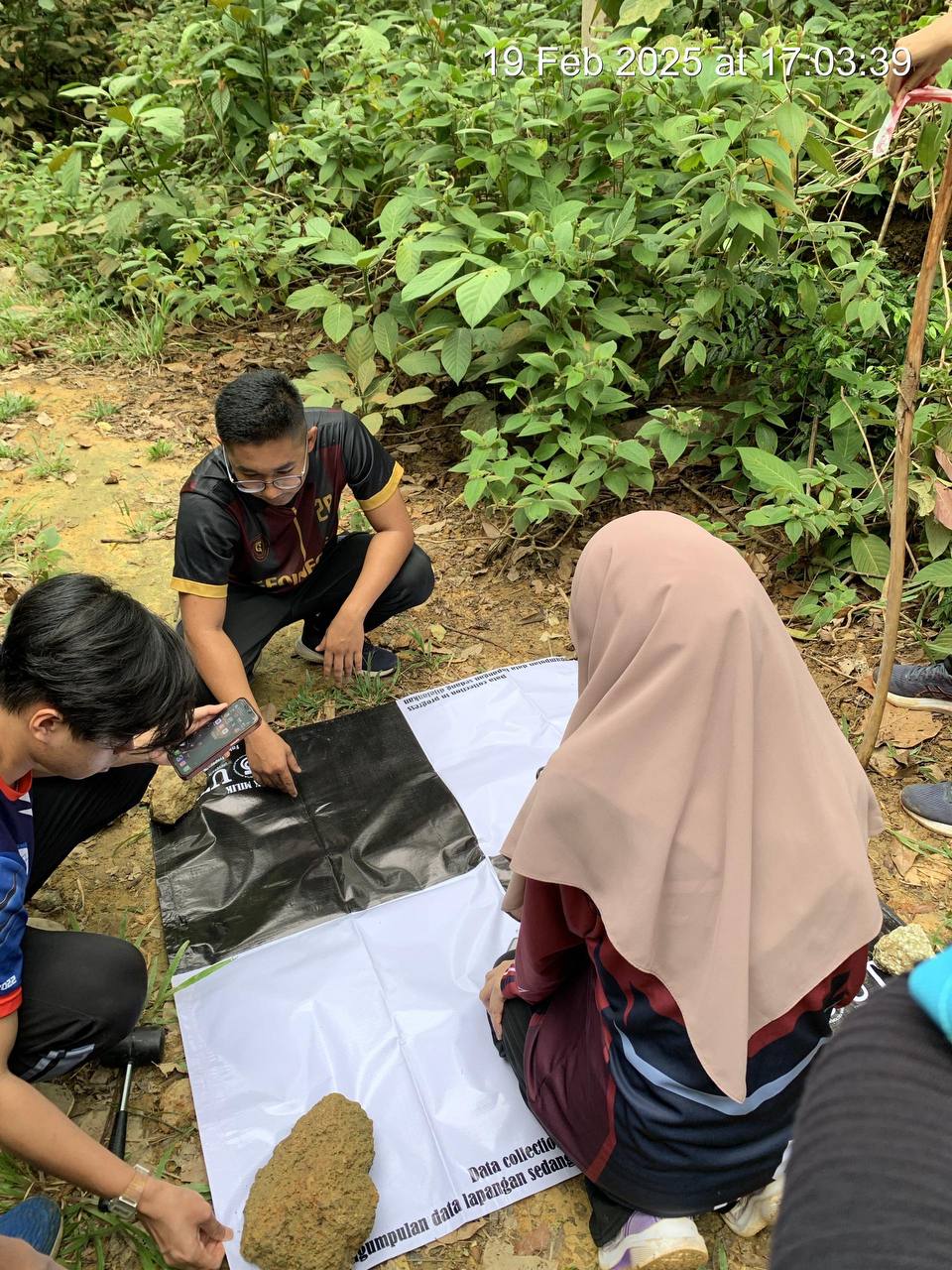 Data Collection Image 4